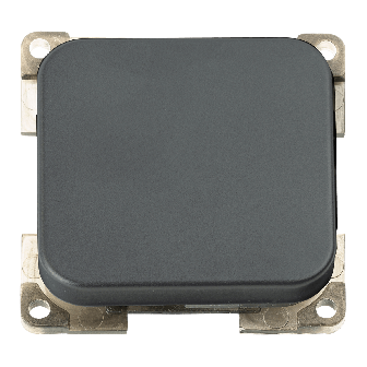 Interrupteur anthracite C-line