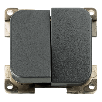 Interrupteur double anthracite C-line